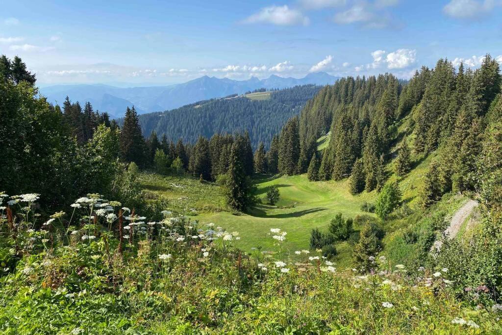 Vue Panoramique Sur Les Montagnes Plein Sud - T2 Skis Aux Pieds, Piscine & Spa Flaine Buitenkant foto