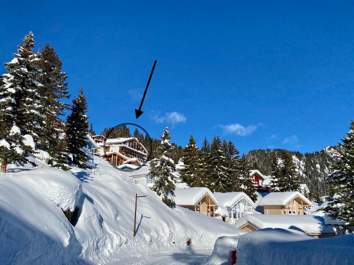 Vue Panoramique Sur Les Montagnes Plein Sud - T2 Skis Aux Pieds, Piscine & Spa Flaine Buitenkant foto